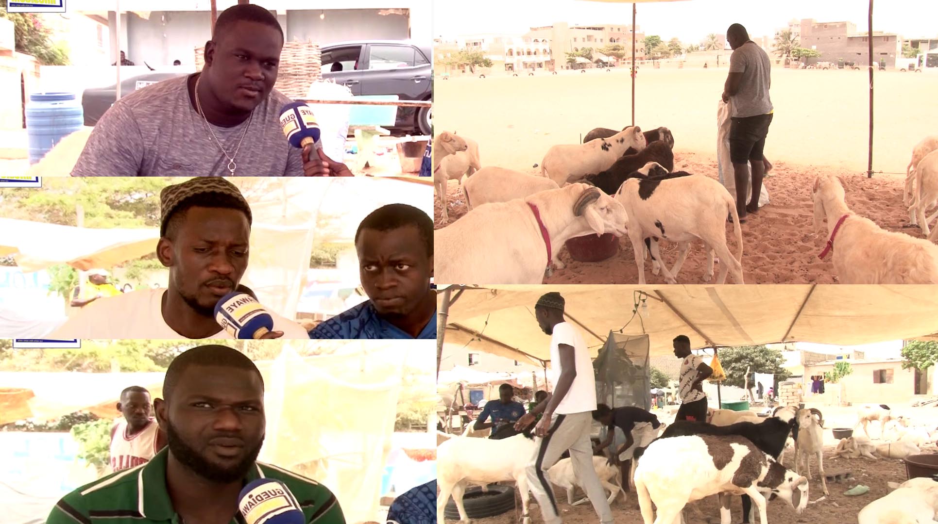 Opération tabaski 2020:Le lutteur Fils de Balla,Khadim Diagne et cie promettent de baisser les prix.(vidéo)