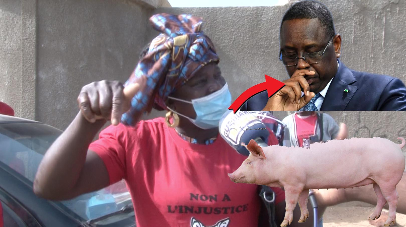 Filière porcine au Sénégal : Les acteurs interpellent et menacent les autorités(vidéo)