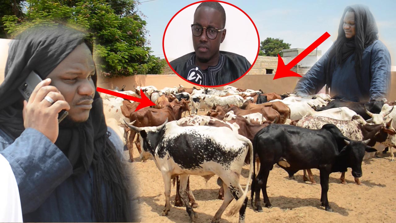 Magal 2021:Le médecin de Cheikh Bethio Serigne khadim Ngom fait ses derniers réglages chez Midadi(vidéo)