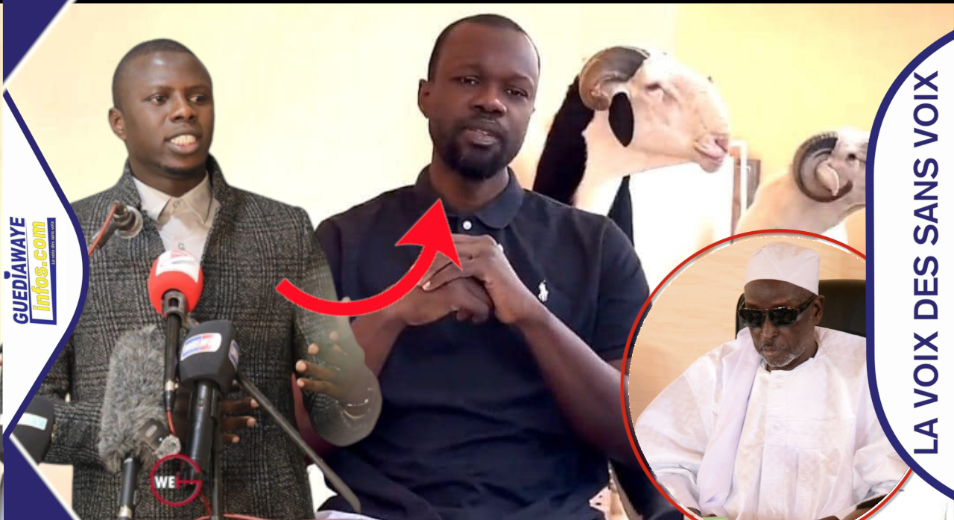 Maître Ngagne Demba TOURE decortique le discours de Ousmane Sonko