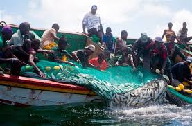 Les Mers Poissonnières au Sénégal : Le Renouveau de la Pêche Artisanale grâce à une Gestion Responsable