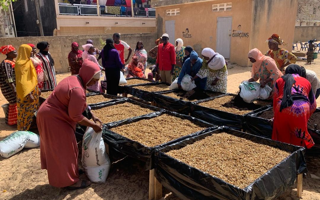 (8 Photos)Soutien au Développement Local : La Cellule 5S Forme 30 Femmes en Culture Maraîchère