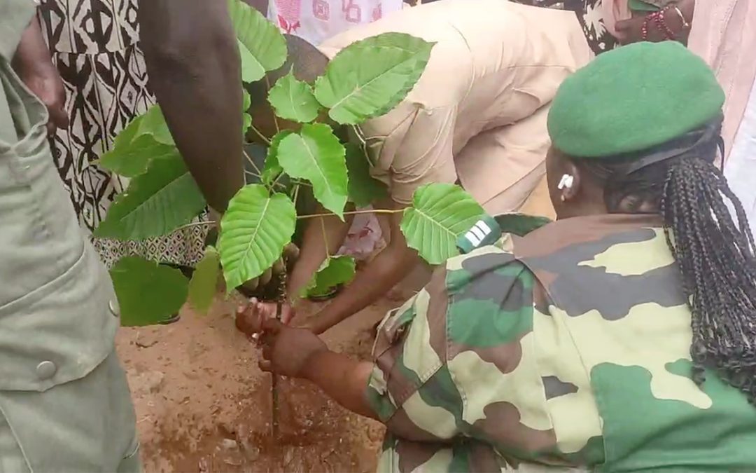 Préparation de la Journée de l’Arbre : Capitaine Astou Lo appelle à l’engagement citoyen à Guédiawaye