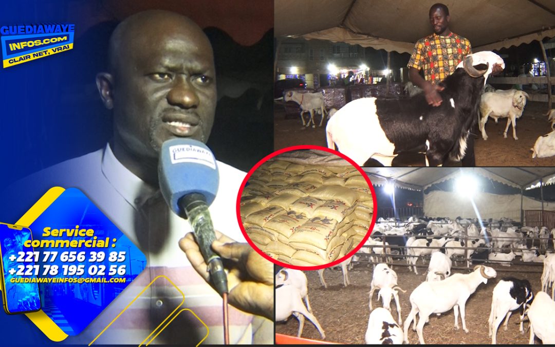 Guédiawaye : Tournée nocturne du Chef du Service de l’Élevage dans les points de vente de moutons