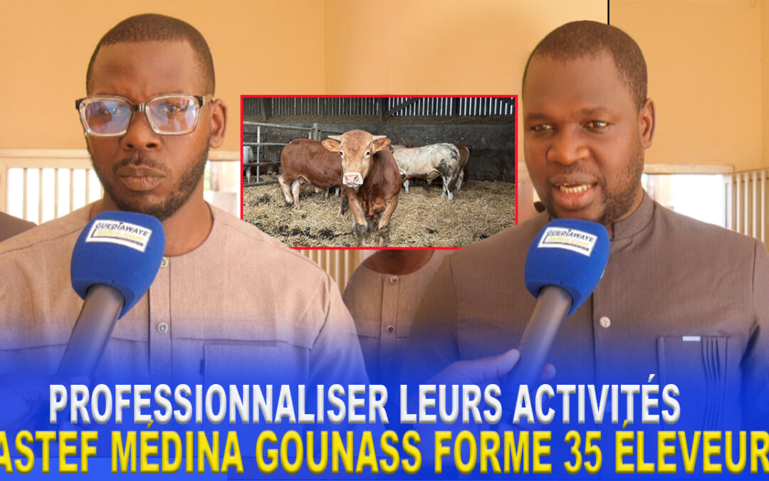Pastef Médina Gounass : 35 éleveurs bénéficient d’une formation sur l’embouche bovine et ovine
