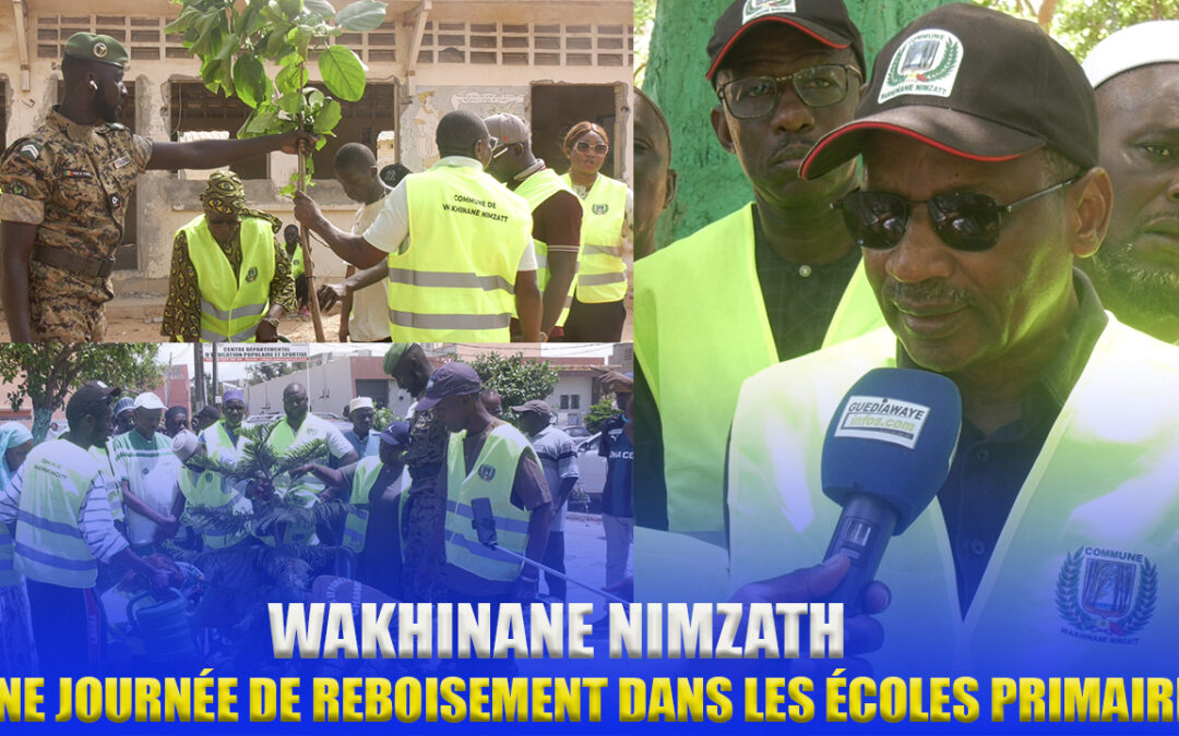 (video) Cadre de vie des enfants : Racine Talla et les acteurs locaux plantent des arbres dans les écoles